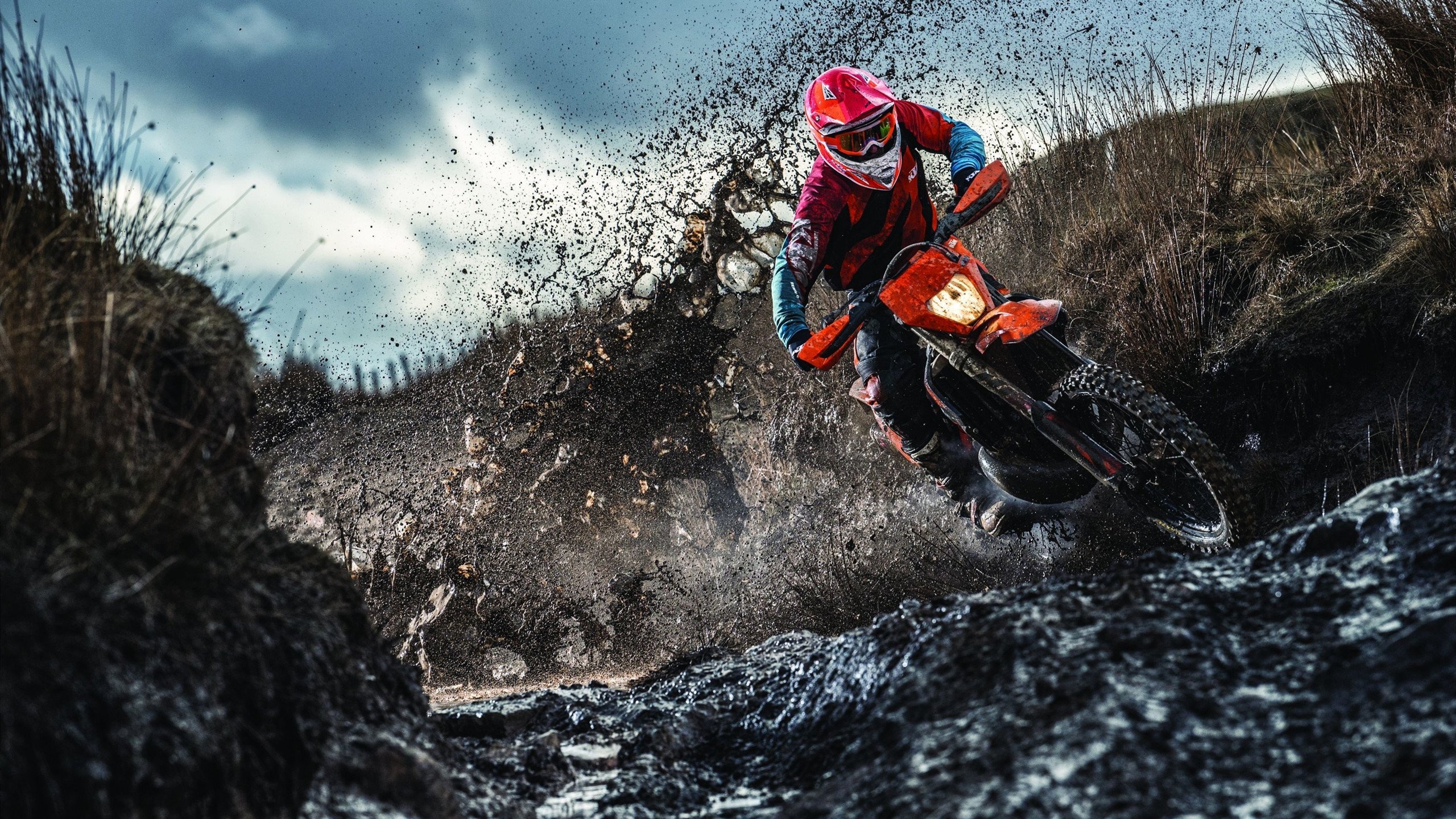 世界顶级鸟枪射击赛场中国选手摘金，鸟枪是什么样的